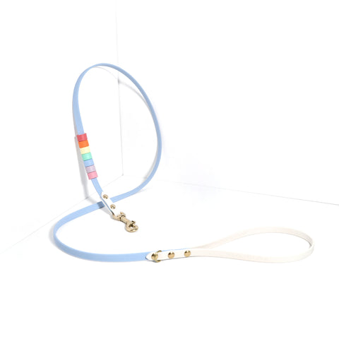 Rainbow Skinny Classic Leash