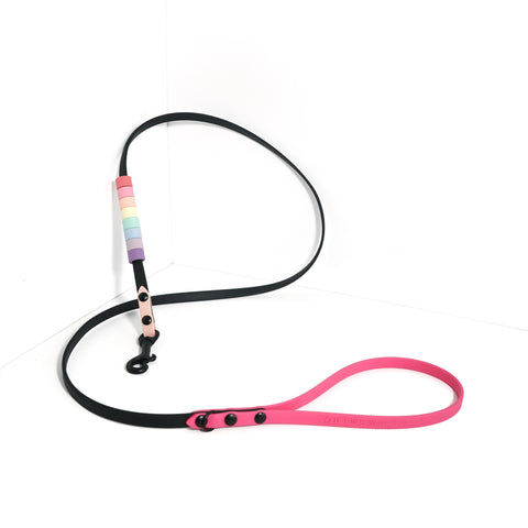 Rainbow Skinny Classic Leash