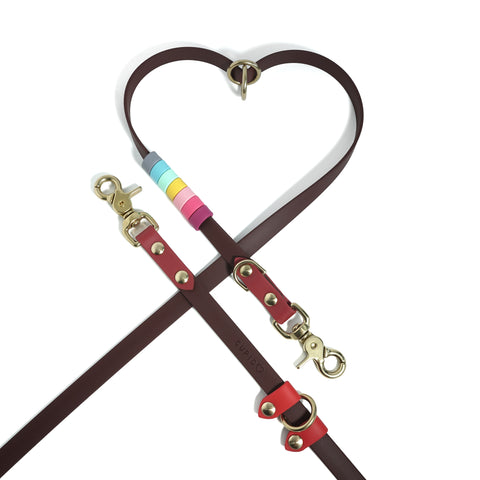 Rainbow Standard Cruiser Multi-way Leash