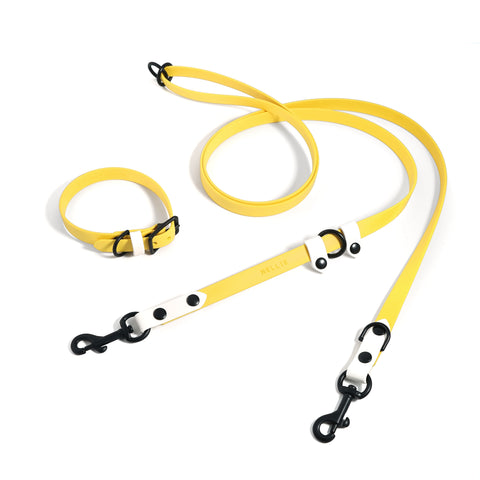 Standard Cruiser Multi-way Leash