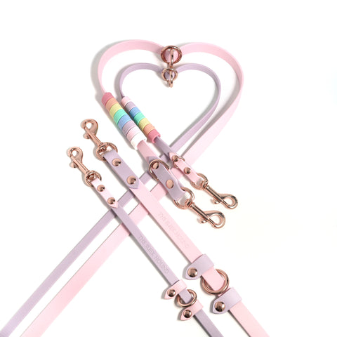 Rainbow Standard Cruiser Multi-way Leash