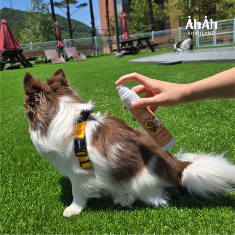 Safeland Outdoor Spray Insect Repellent