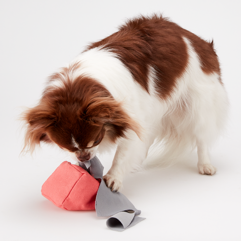 Dice Land Snuffle Toy