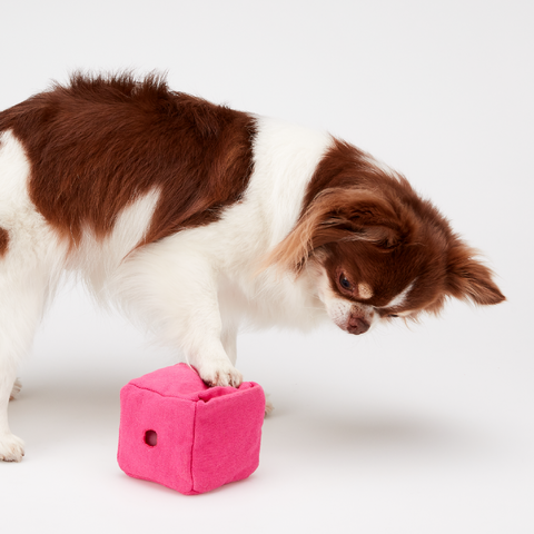 Dice Land Snuffle Toy