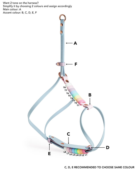 Align Harness