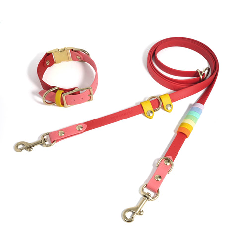 Rainbow Standard Cruiser Multi-way Leash