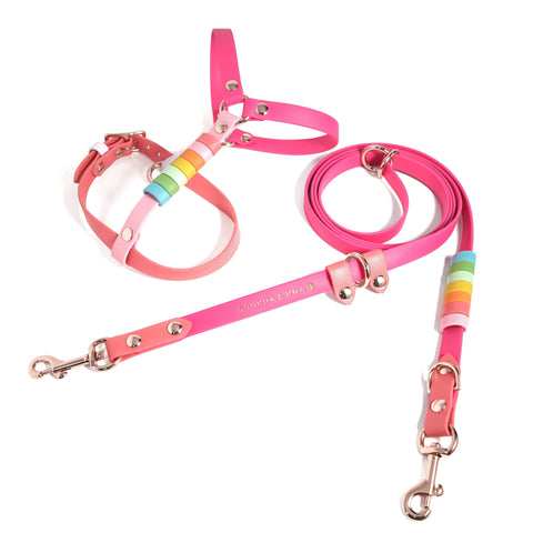 Rainbow Standard Cruiser Multi-way Leash