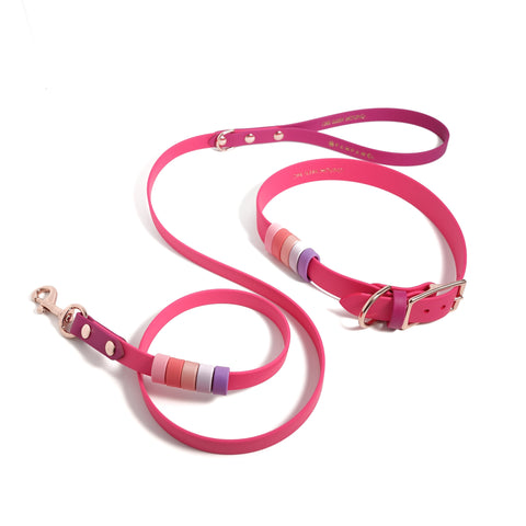 Rainbow Standard Classic Leash