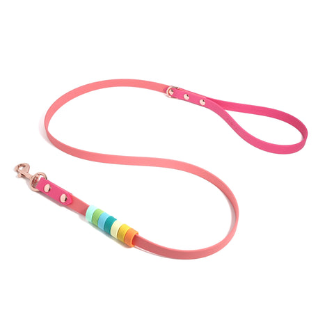 Rainbow Standard Classic Leash