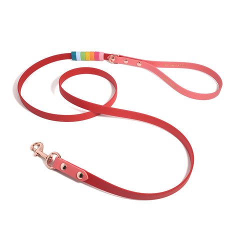 Rainbow Standard Classic Leash