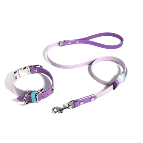Rainbow Standard Classic Leash