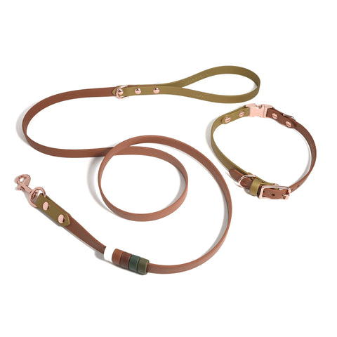 Rainbow Standard Classic Leash