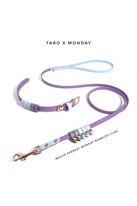 Rainbow Skinny Classic Leash