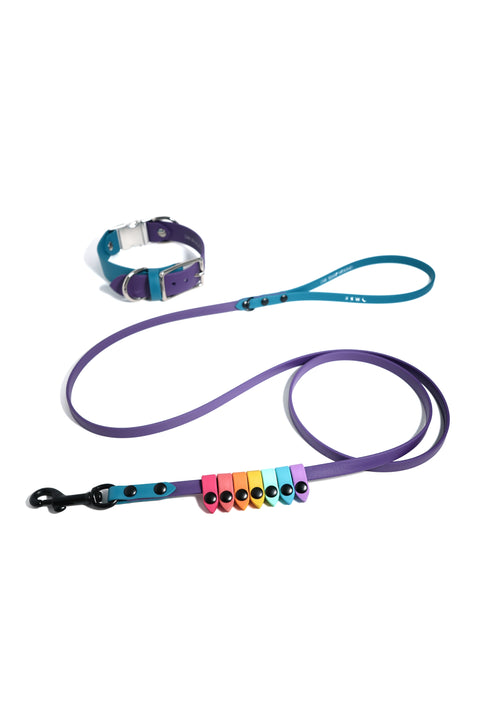 Rainbow Skinny Classic Leash
