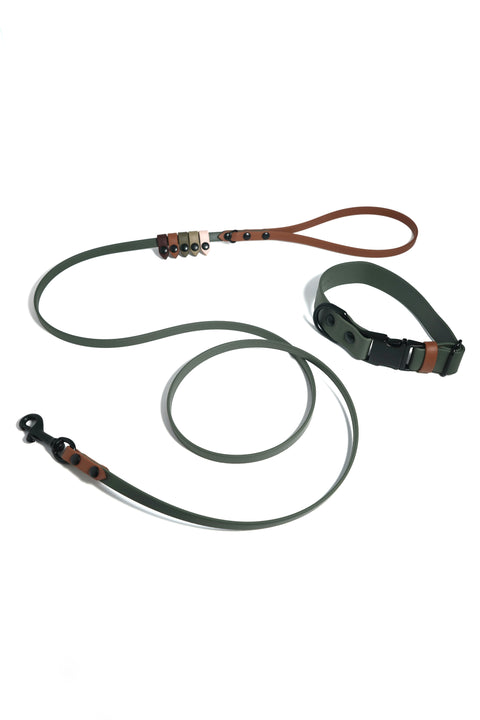 Rainbow Skinny Classic Leash