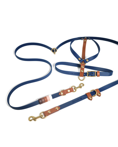 Rainbow Standard Cruiser Multi-way Leash