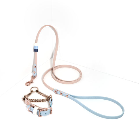 Rainbow Skinny Classic Leash