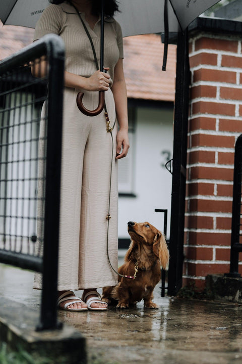 Skinny Cruiser Multi-way Leash