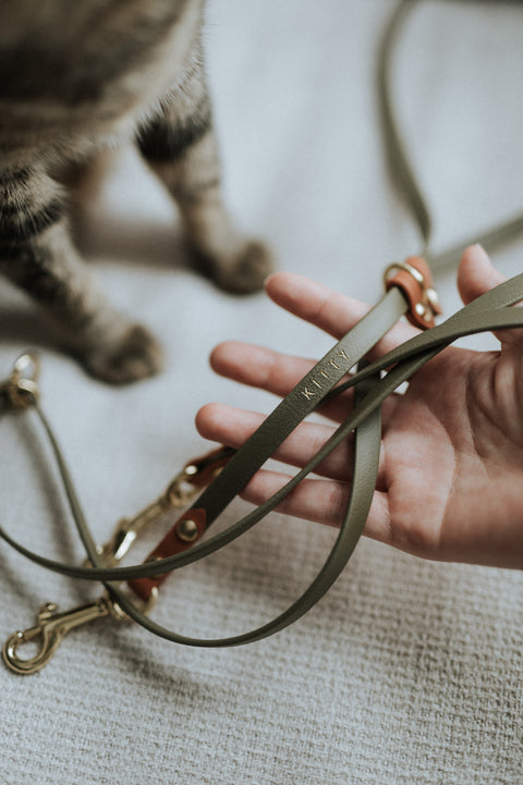 Skinny Cruiser Multi-way Leash