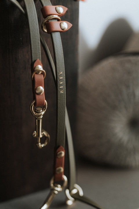 Skinny Cruiser Multi-way Leash