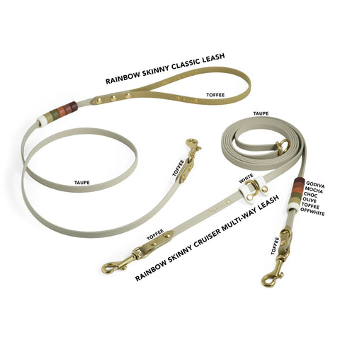 Rainbow Skinny Cruiser Multi-way Leash