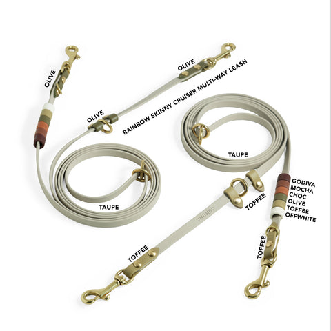 Rainbow Skinny Cruiser Multi-way Leash