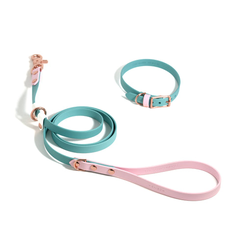 Standard Versa Leash (Previously slip leash)