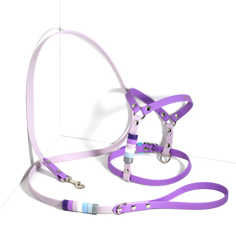 Standard Harness Y-style