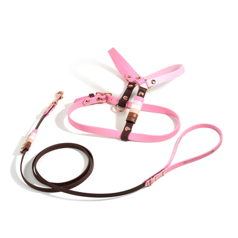 Rainbow Skinny Classic Leash