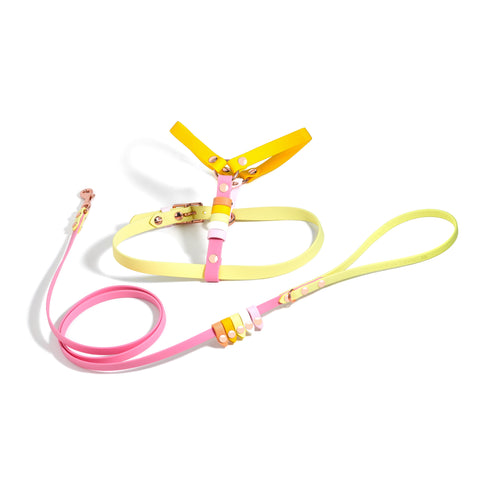 Rainbow Skinny Classic Leash