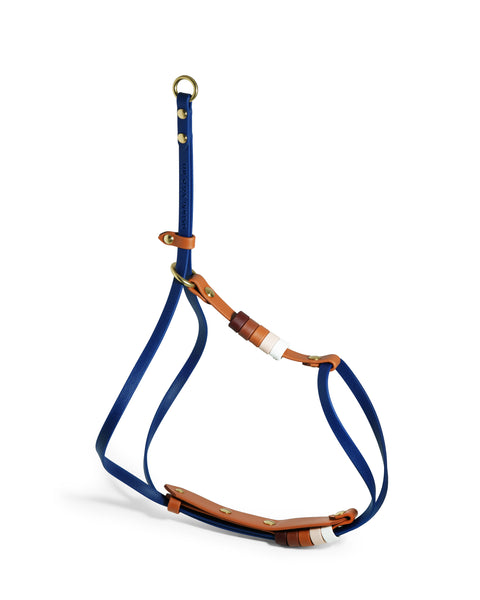 Align Harness