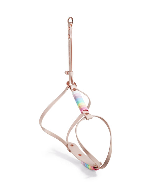 Align Harness