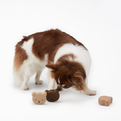 Coconi Bear 3pc Set Nosework Toy Silicone