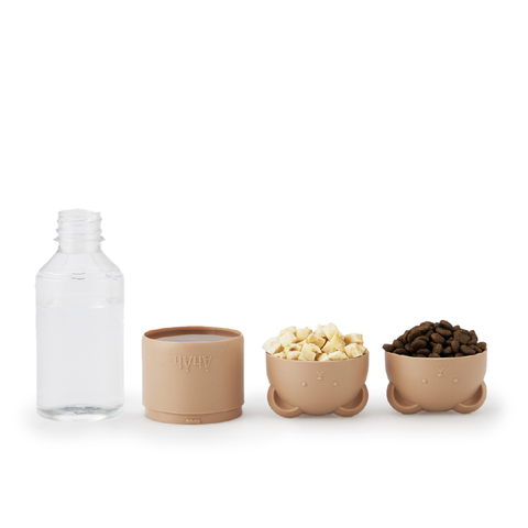 Coconi Water Bottle
