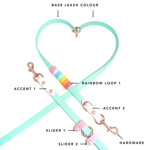 Rainbow Standard Cruiser Multi-way Leash