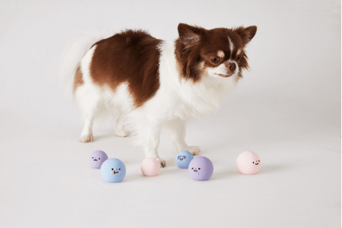 Round Latex Toy Squeaky