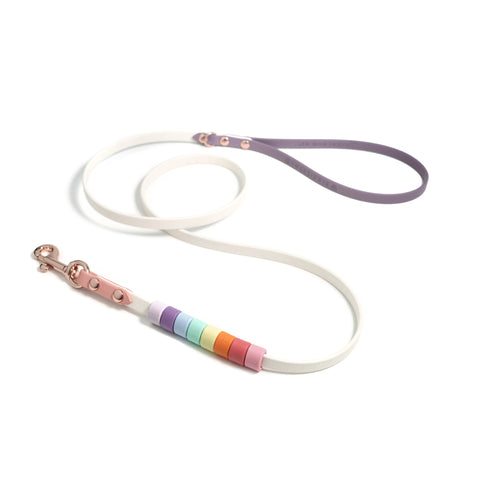 Rainbow Skinny Classic Leash