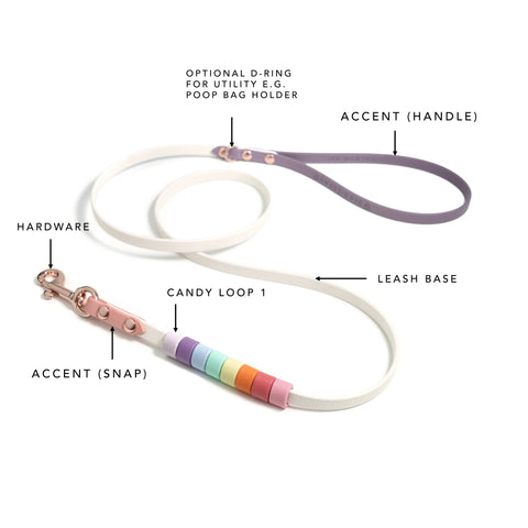 Rainbow Skinny Classic Leash