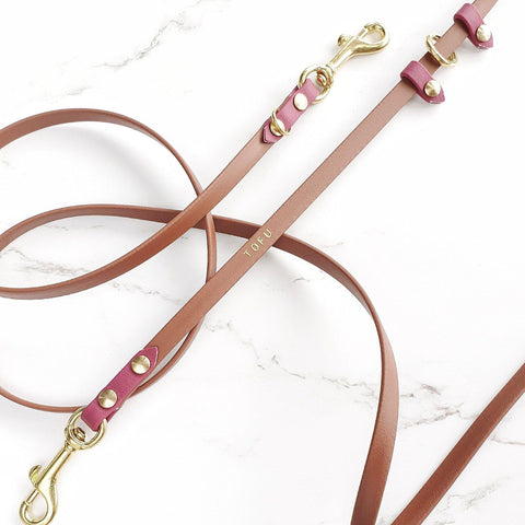 Skinny Cruiser Multi-way Leash