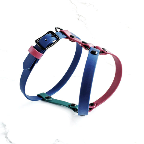 Standard Harness Y-style