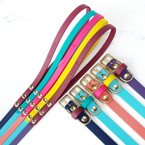 Classic Collar