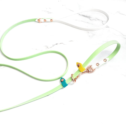 Skinny Versa Leash (Previously slip leash)
