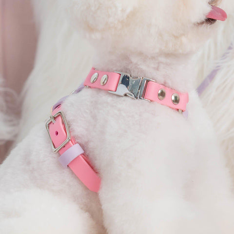 Standard Harness Y-style