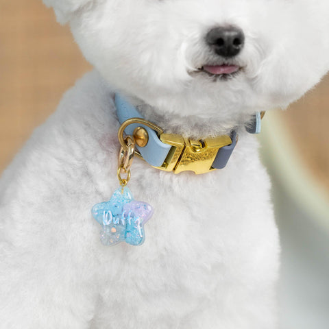 Swift Classic Collar