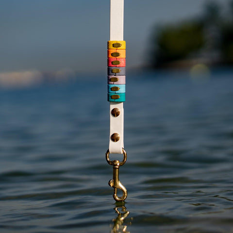 Rainbow Standard Cruiser Multi-way Leash
