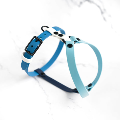 Standard Harness Y-style