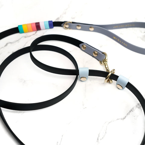 Rainbow Standard Slip Leash