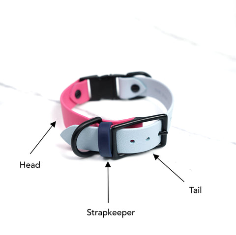 Thicc Swift Classic Collar