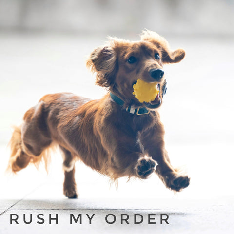 Rush My Order