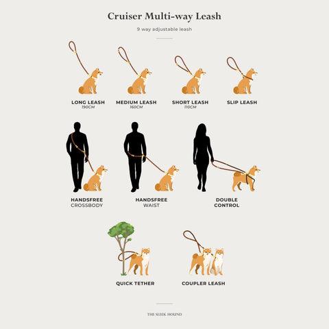 Skinny Cruiser Multi-way Leash